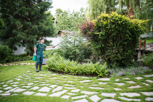 Best Best Pest Control Near Me  in Abbeville, SC