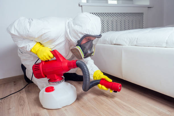 Trusted Abbeville, SC Pest Control Experts